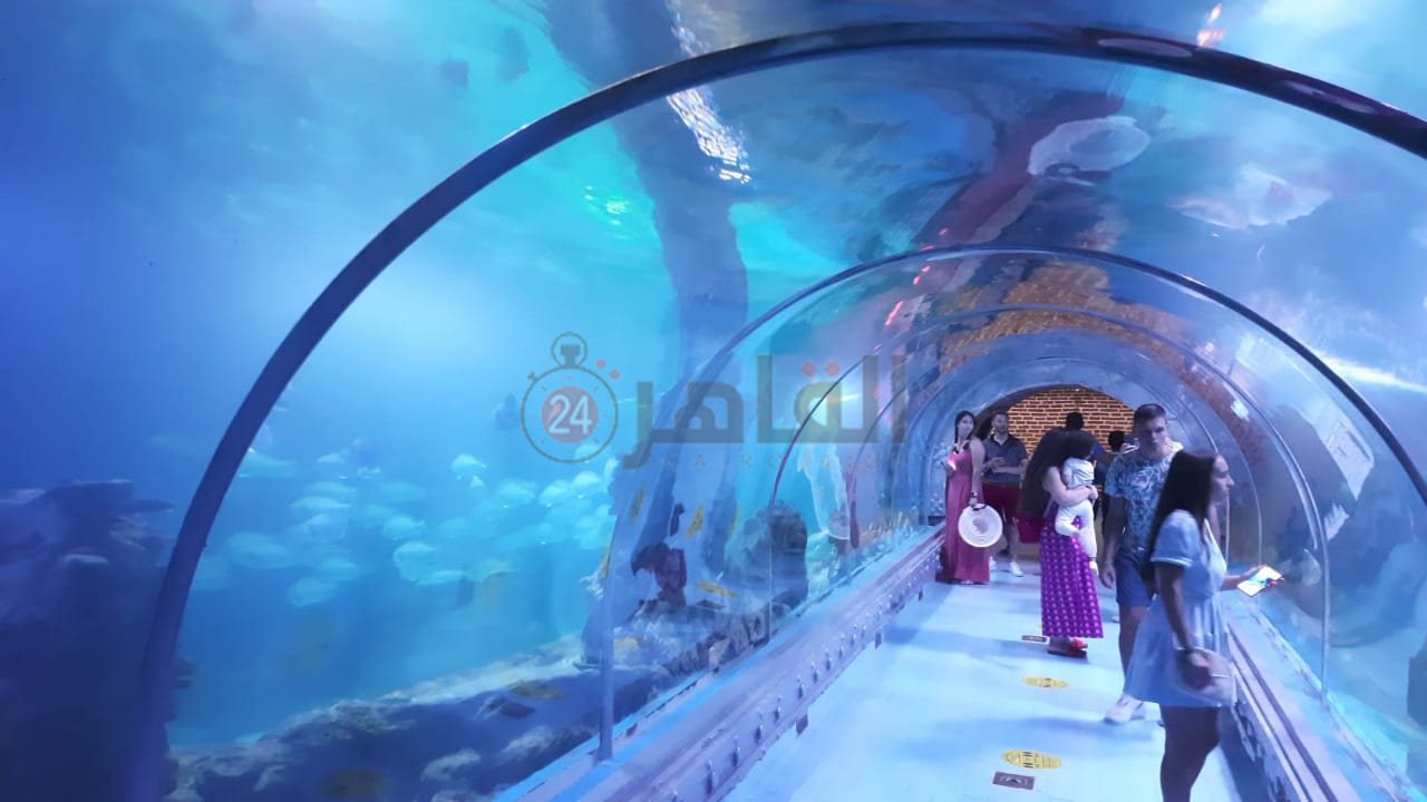 أكواريوم بالغردقة