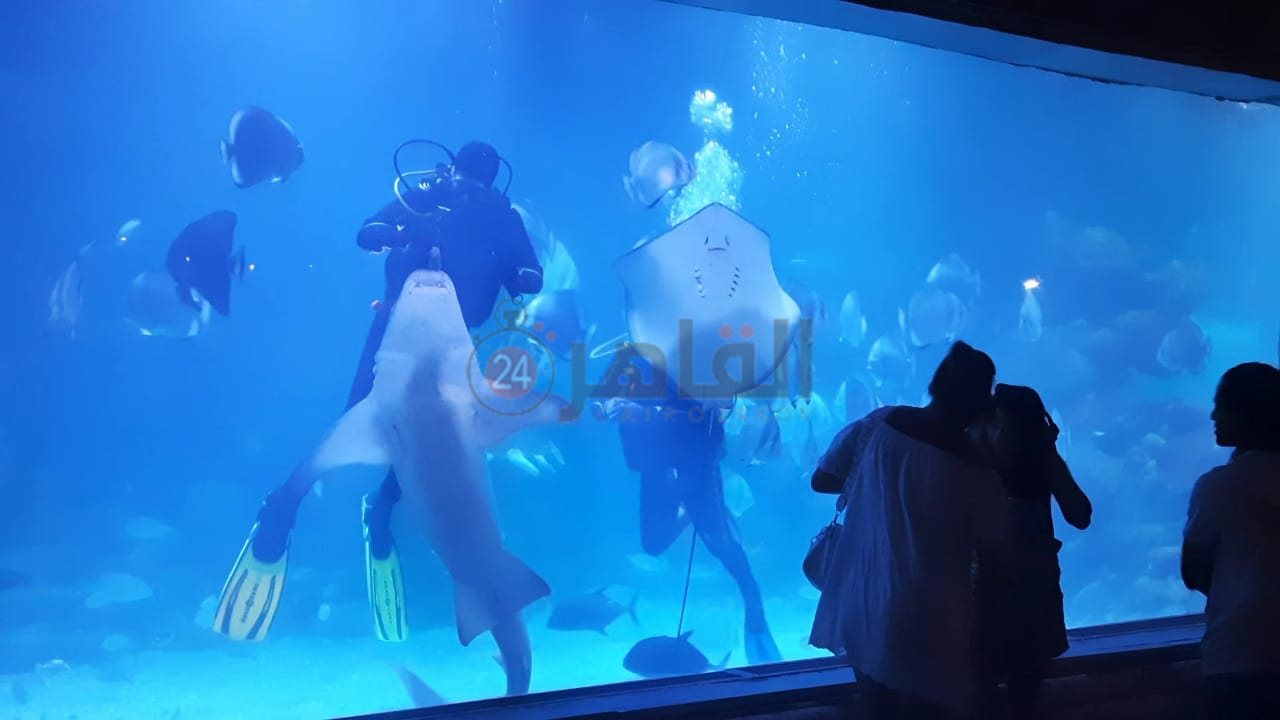 أكواريوم بالغردقة