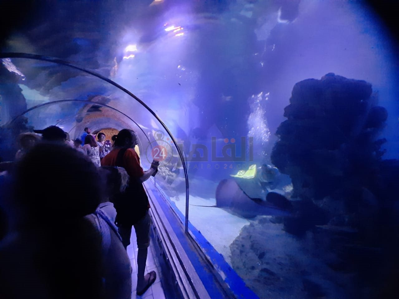 أكواريوم بالغردقة