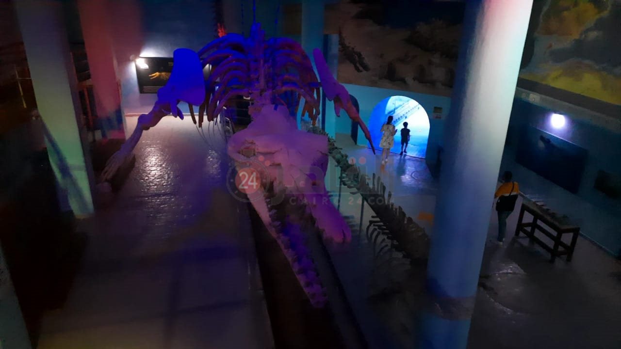 أكواريوم بالغردقة