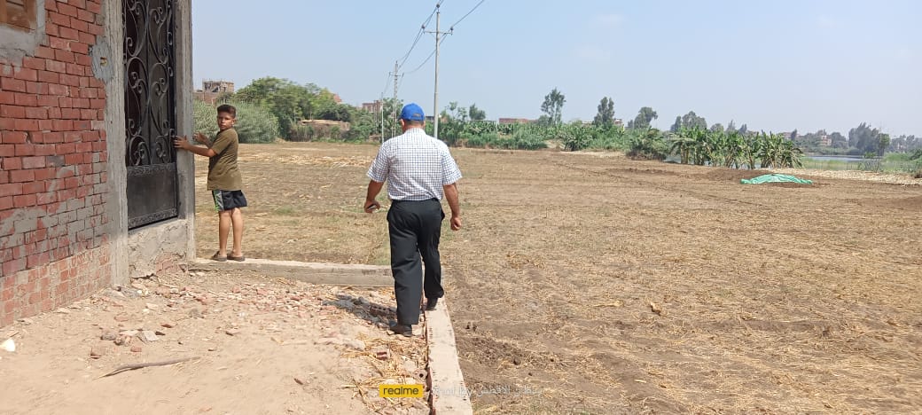 لجنة للبحث عن قرد هارب في المنوفية