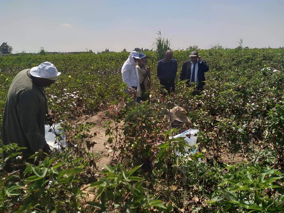 FB_IMG_1629904861186