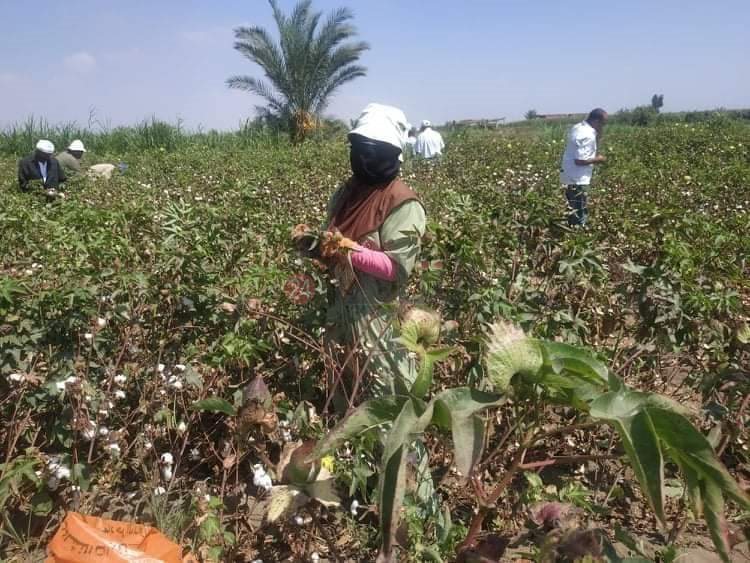 FB_IMG_1629904851289