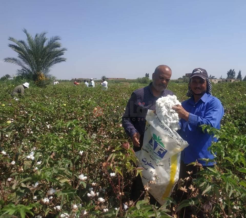 FB_IMG_1629904847151