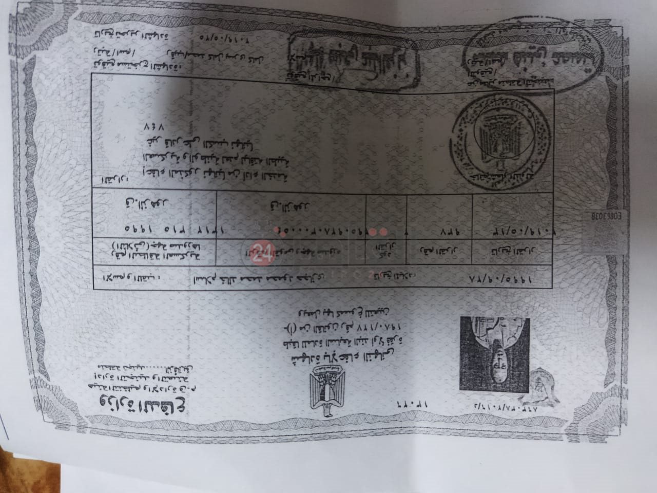 موقف إسلام من التجنيد 