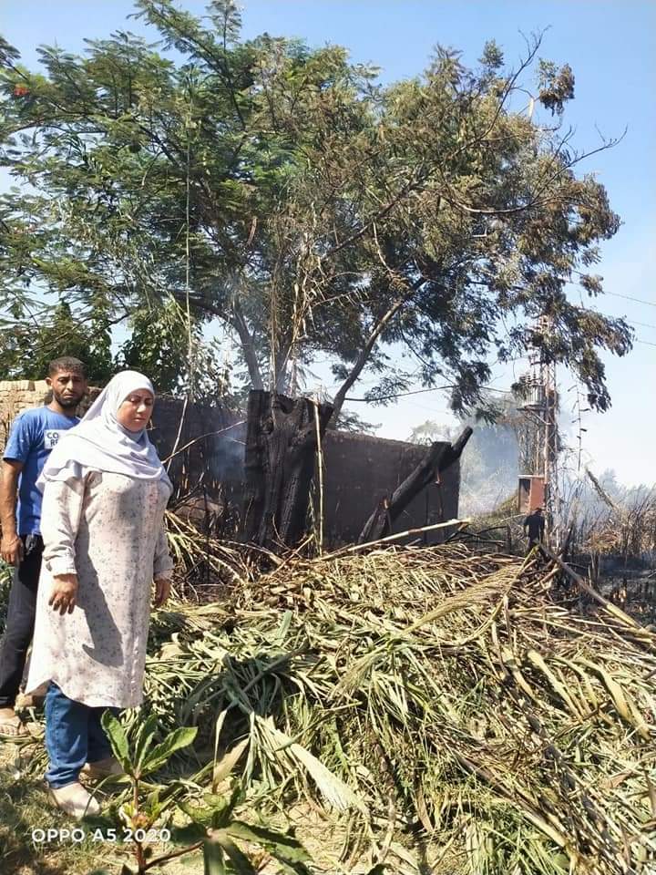 حريق جنينة أشجار بالمنوفية 