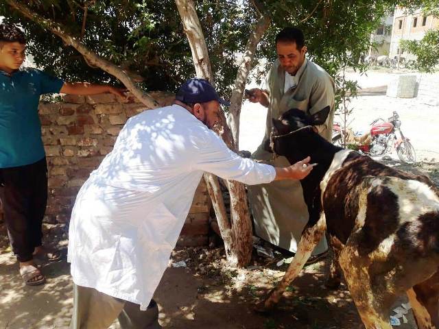 قافلة بيطرية بقرى حياة كريمة بالشرقية 03