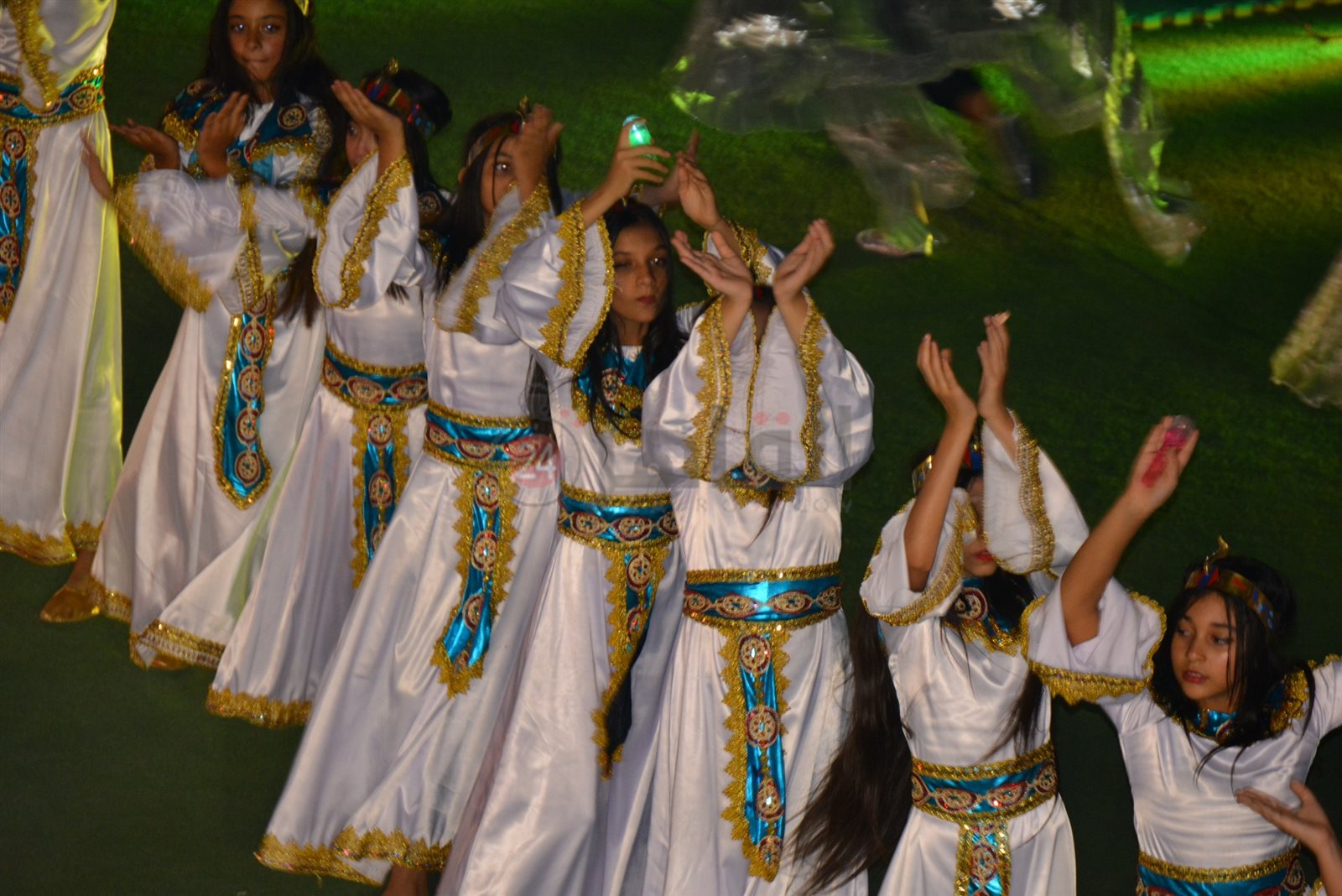 DSC_0482_copy_2248x1500