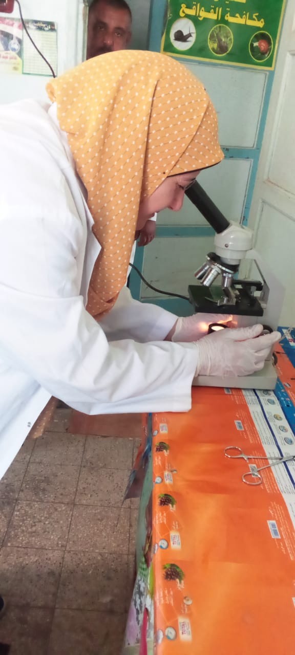 حملات تعقيم لمنع انتشار كورونا بالشرقية 5