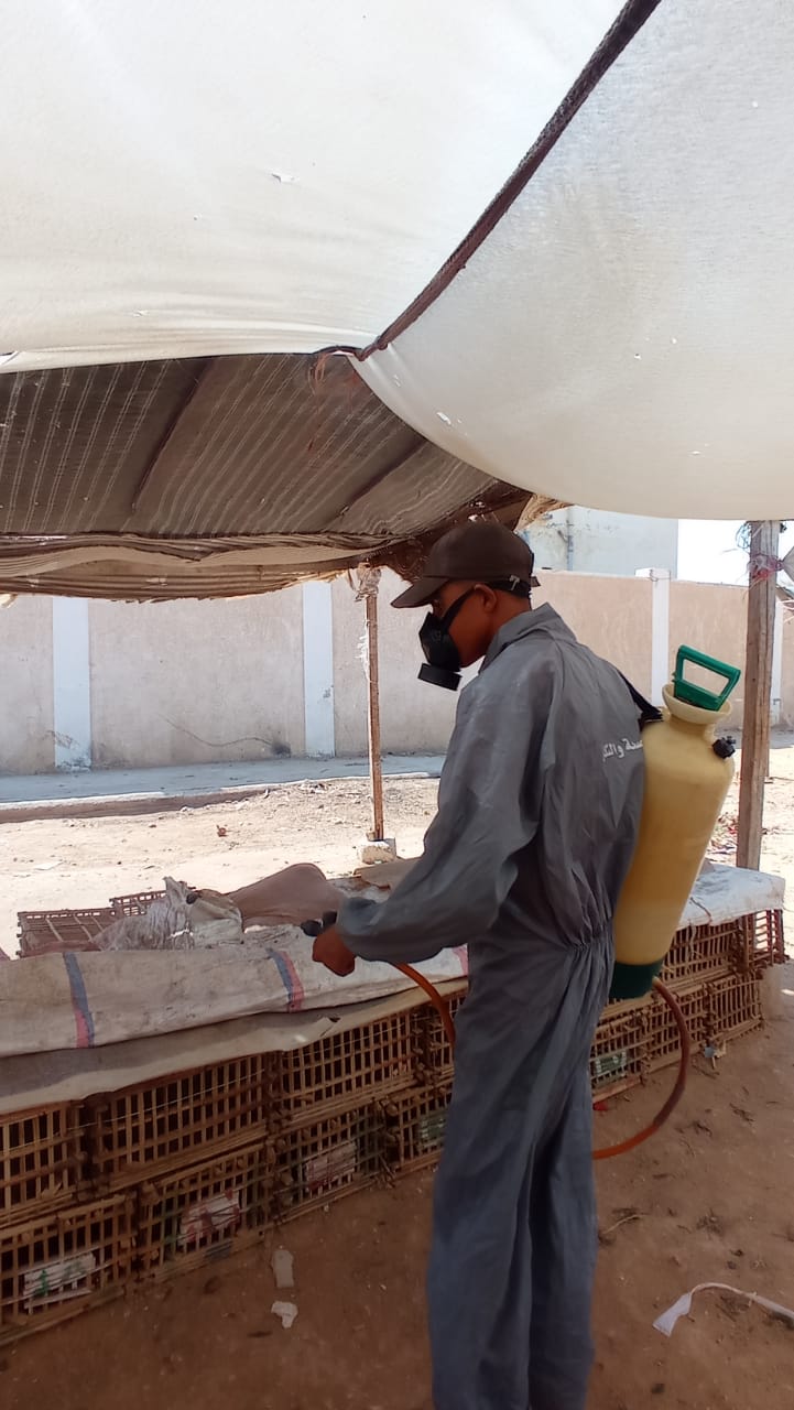 حملات تعقيم لمنع انتشار كورونا بالشرقية 11