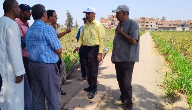 انطلاق موسم جني القطن بالشرقية