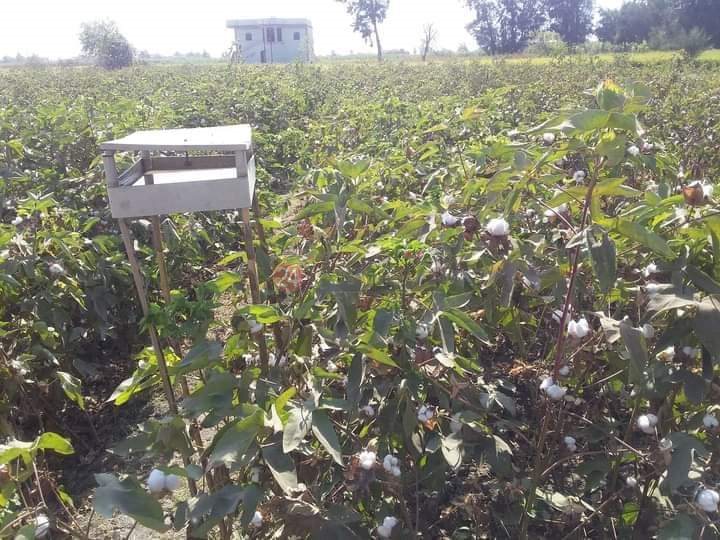 received_971912830044678