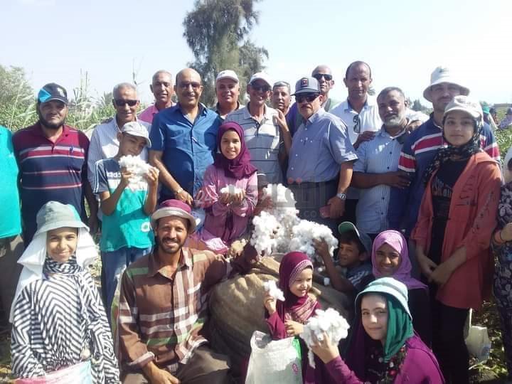 received_5988865374516780