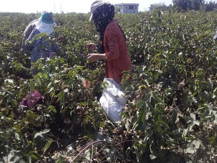 received_6344352402273655