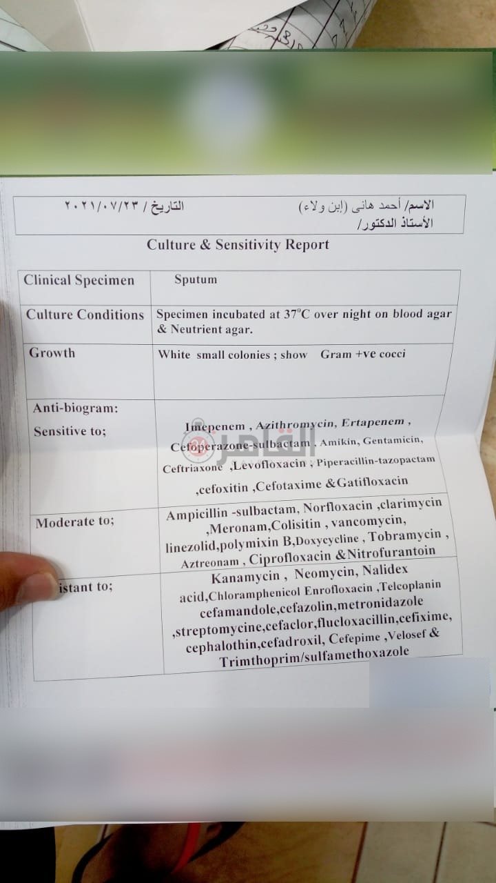تحاليل مزرعة الدم بعد خروج الطفل