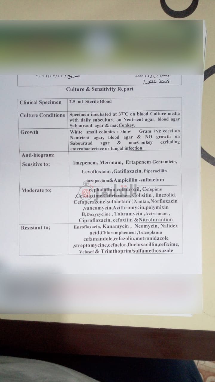 تحاليل مزرعة الدم بعد خروج الطفل 