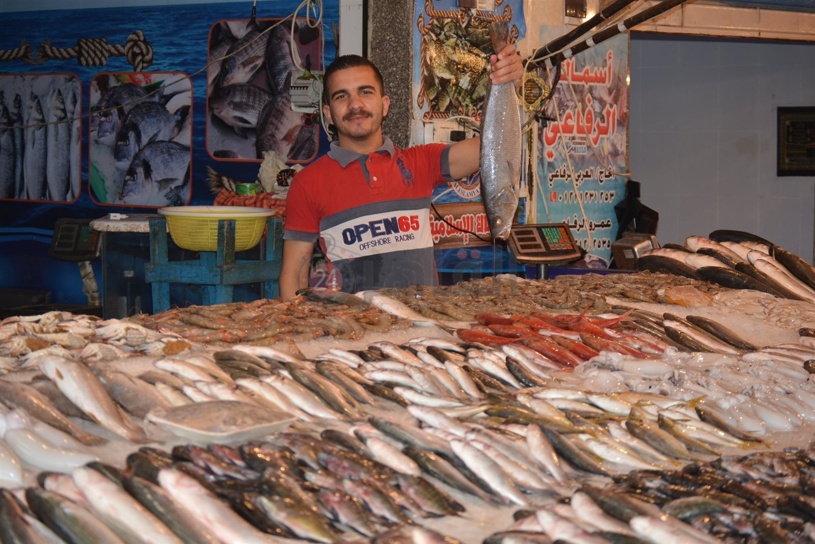 سوق أسماك بورسعيد 