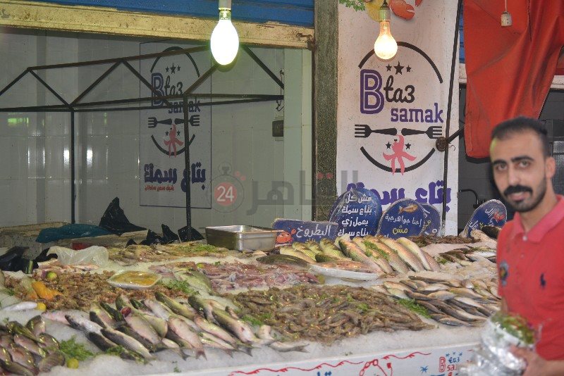 أسماك بورسعيد 