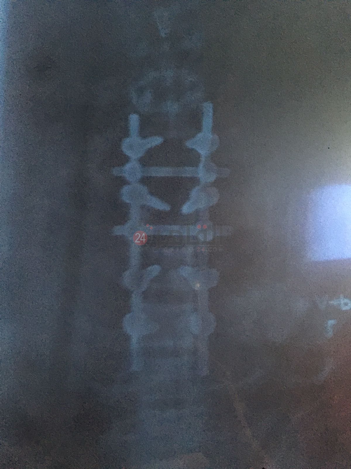 41e8ebd3-a070-46e3-9514-2a4d9d142c79