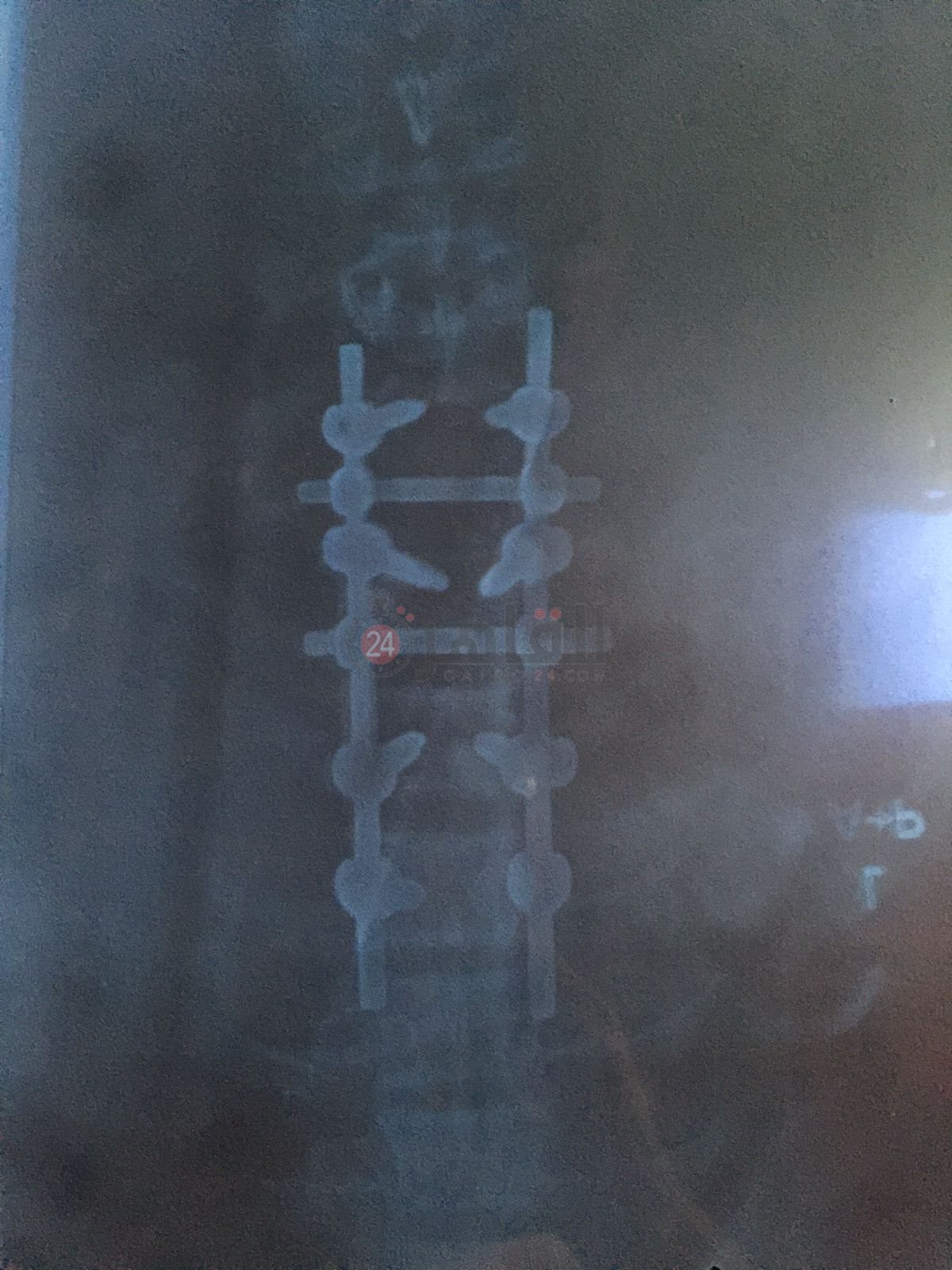 d7799fb2-5d01-4fa5-9964-a9503ea8c34f