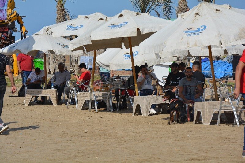 إقبال الأهالي علي تجمع الحيوانات 