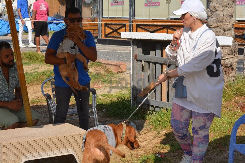 سعادة أصحاب الكلاب 