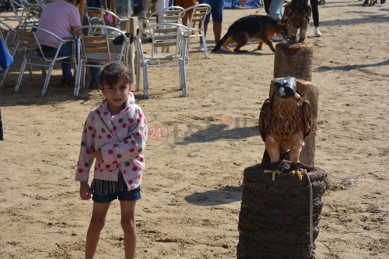 الأطفال تلتقط الصور التذكارية مع الطيور 