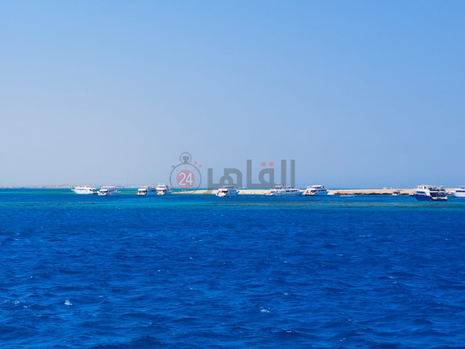 نشاط ملحوظ لممارسة رياضات الغطس والاسنوركلينج بالغردقة