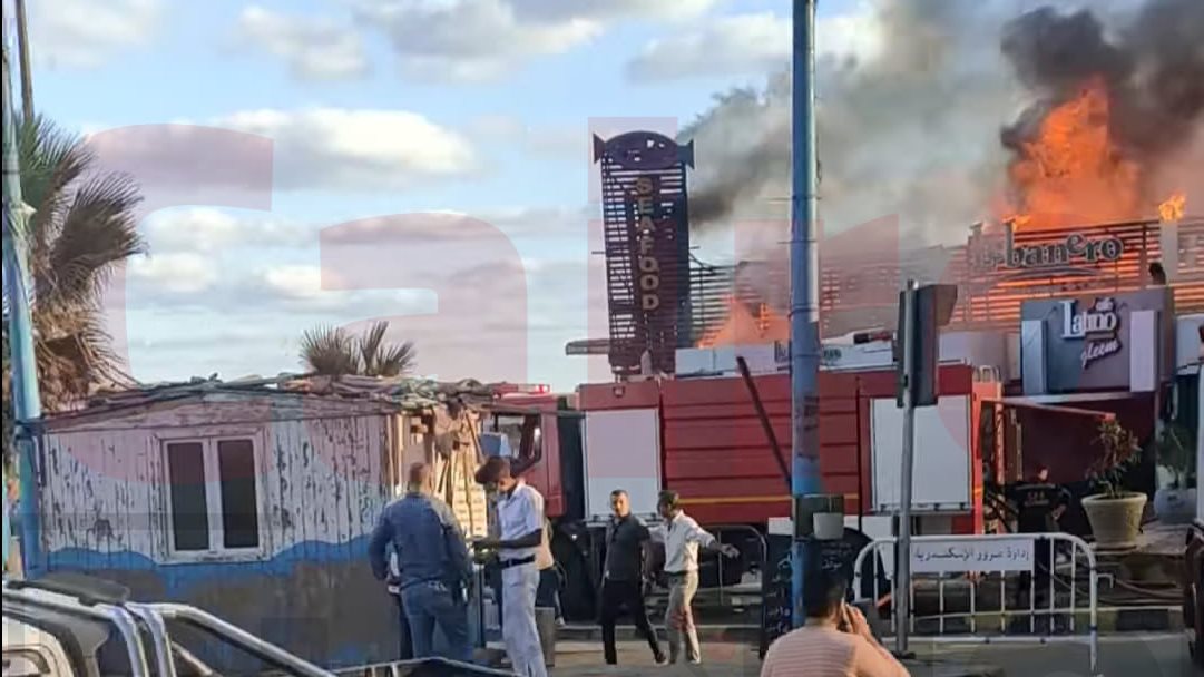 243467632_138884125129689_3539993135302319536_n