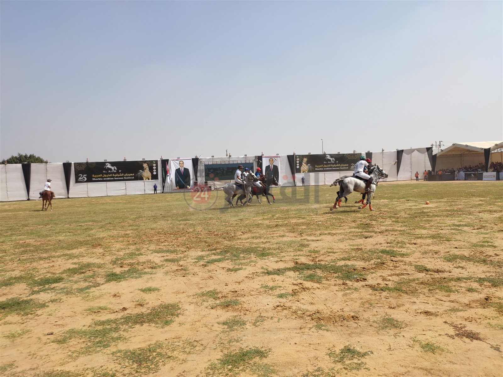 فعاليات مهرجان الشرقية للخيول العربية