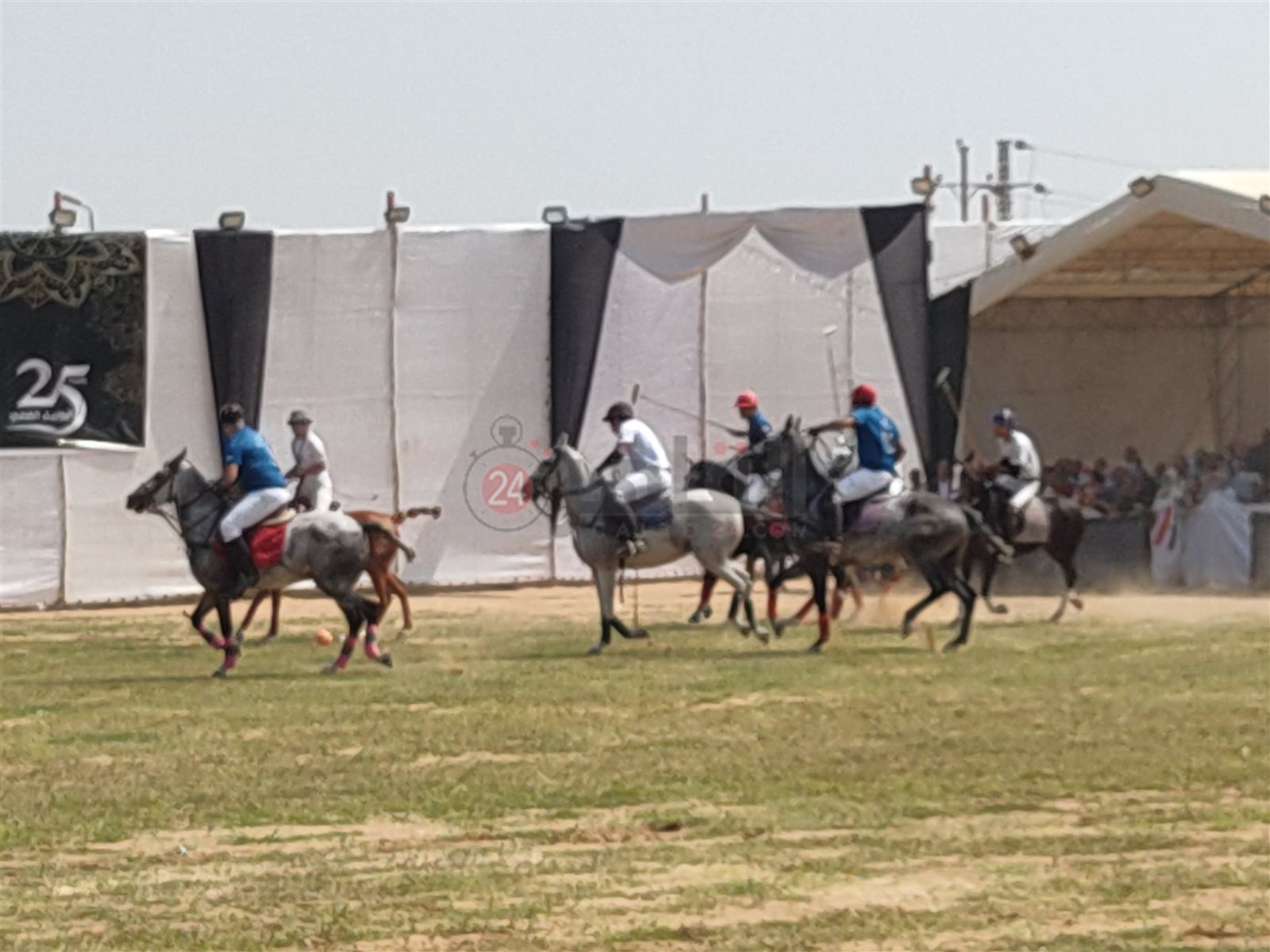 مهرجان الشرقية للخيول العربية