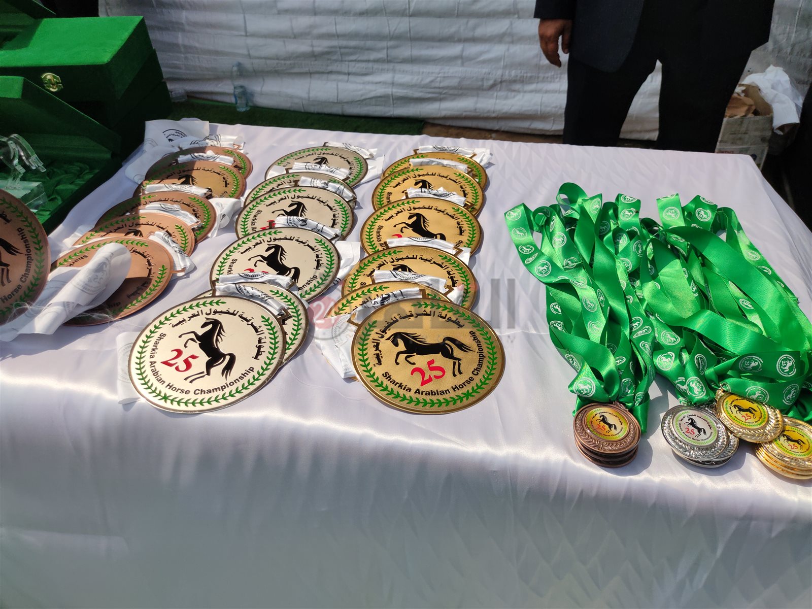 جوائز مهرجان الشرقية للخيول العربية 01