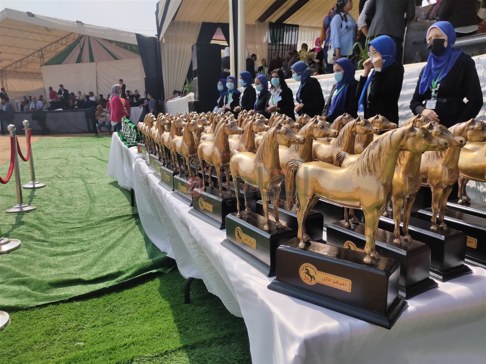 جوائز مهرجان الشرقية للخيول العربية 02