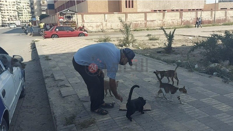 عم احمد يطعم القطط