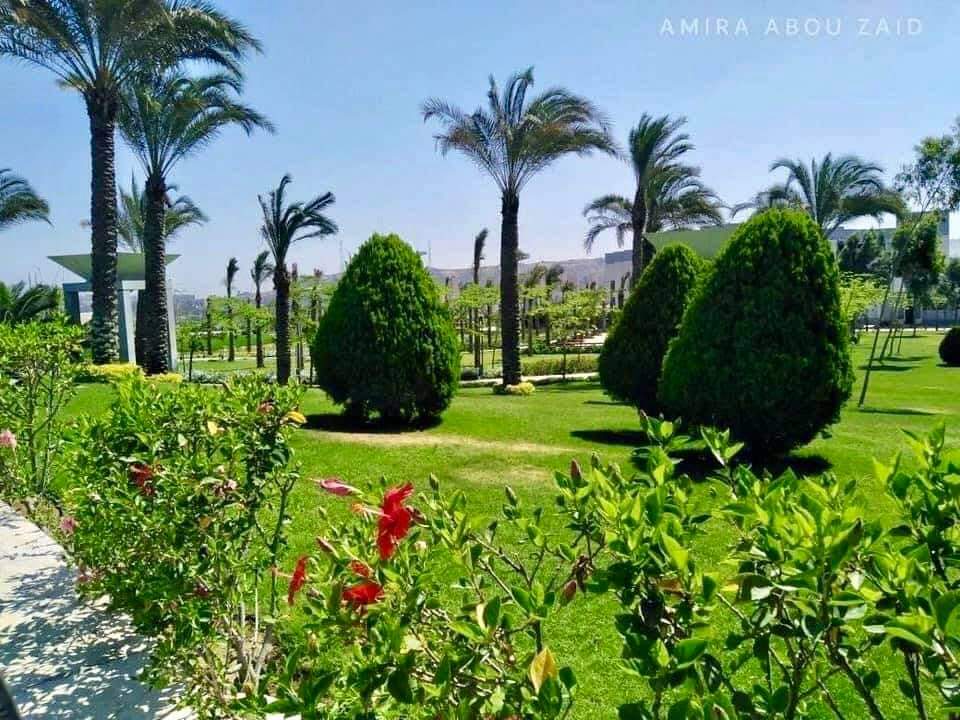 FB_IMG_1633202698622