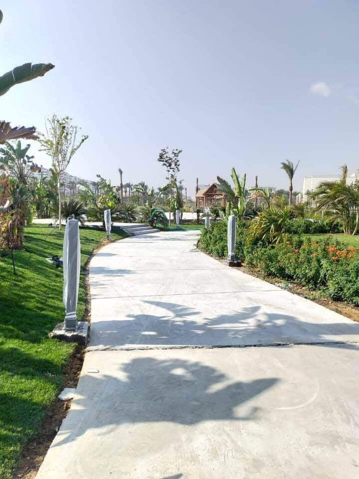 FB_IMG_1633202651297