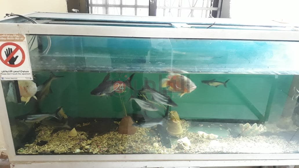 حديقة الأسماك