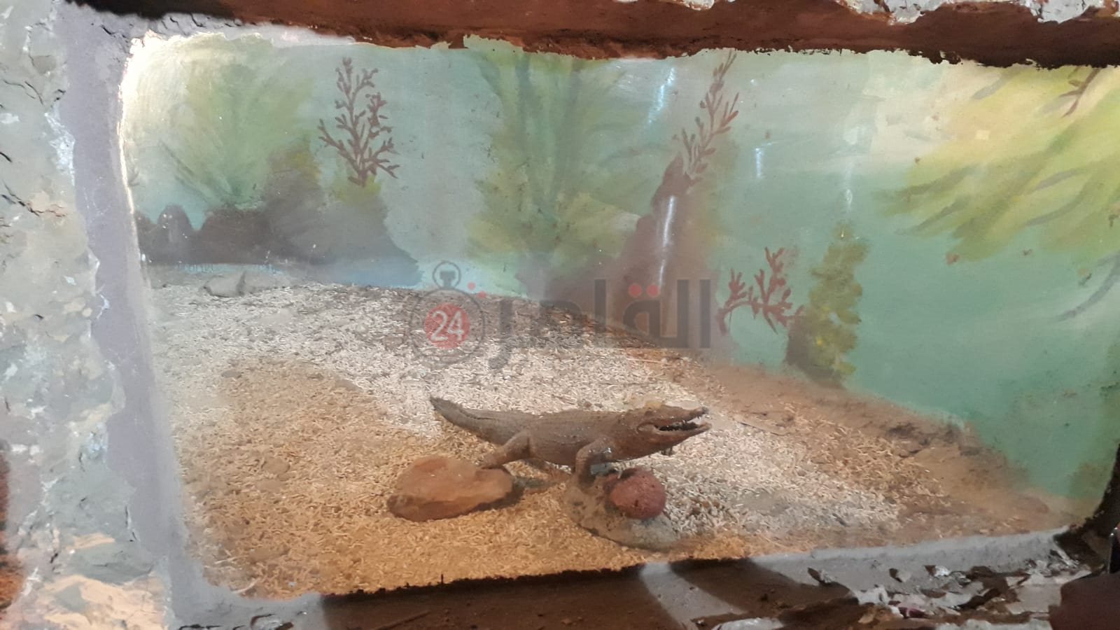 حديقة الأسماك