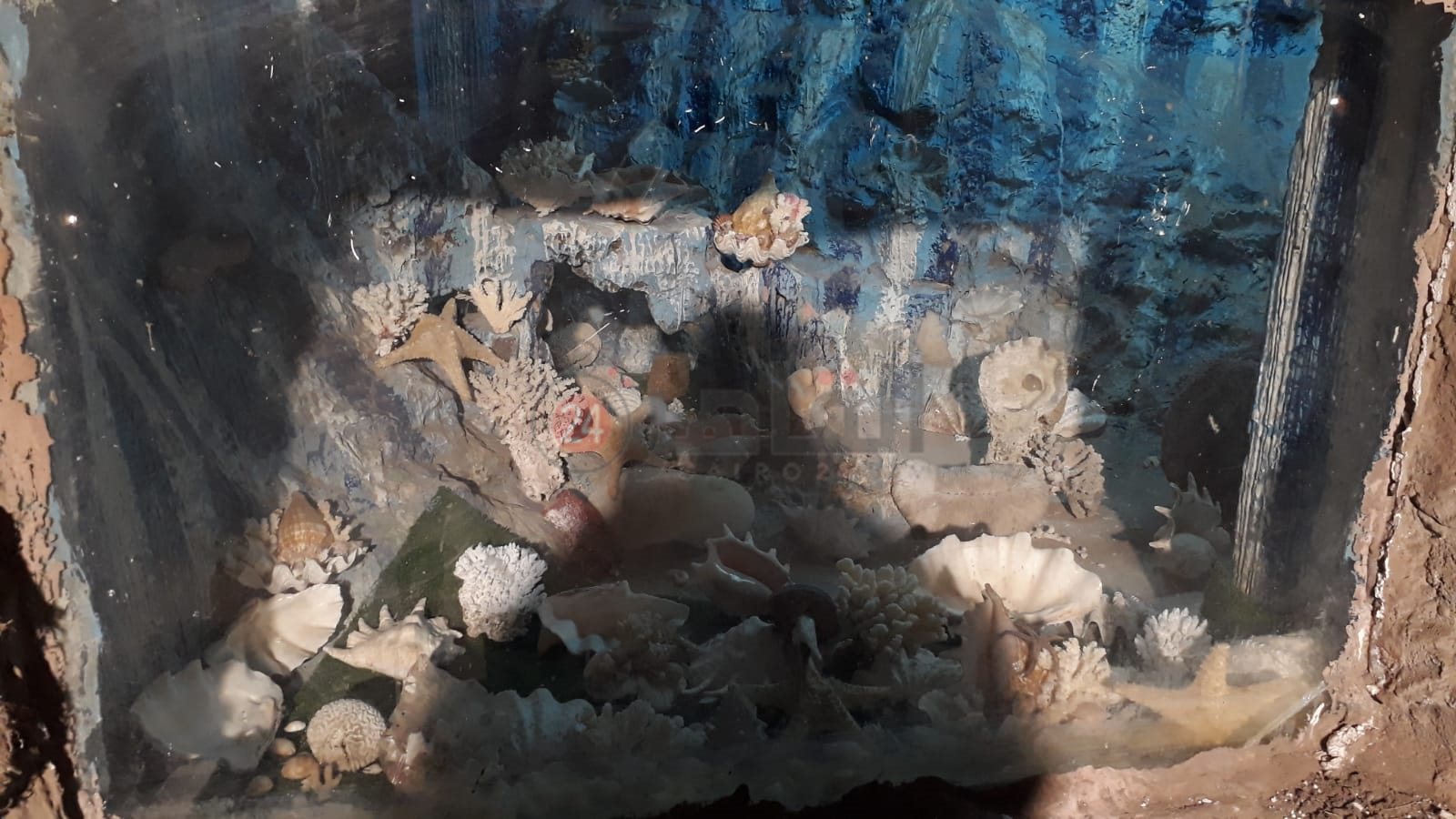 حديقة الأسماك