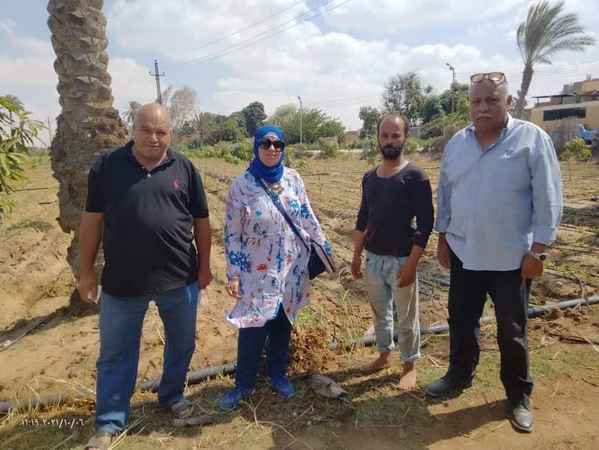 مشاكل مزارعي الفراولة