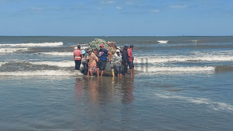 صيادين الأسماك ببورسعيد 