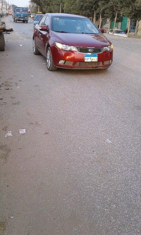 C1783D7D-B5D1-4E4B-8515-815FDBFC1344