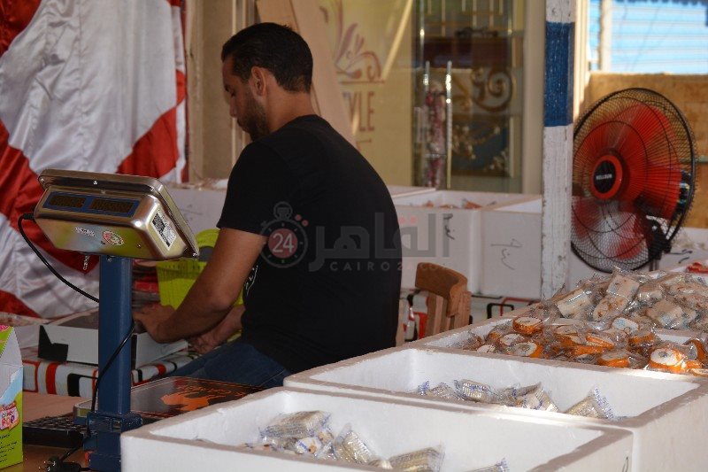 عرض حلوي المولد بالقطعة في بورسعيد 