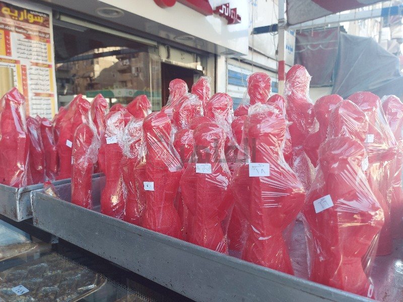 عروسة وحصان حلاوة 