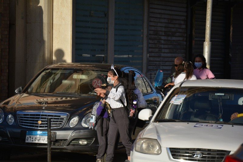 DSC_0279_copy_800x533