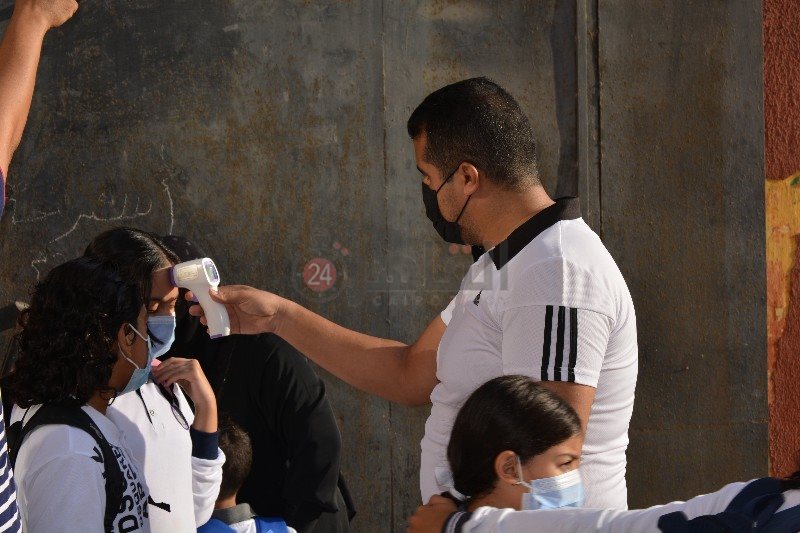 DSC_0290_copy_800x533