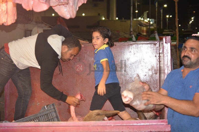 DSC_0340_copy_800x533_1