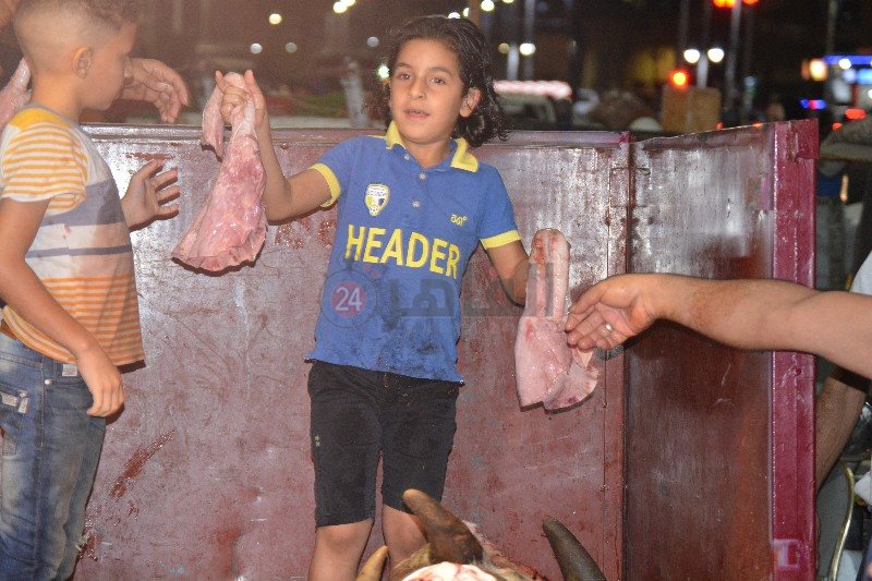 DSC_0344_copy_800x533