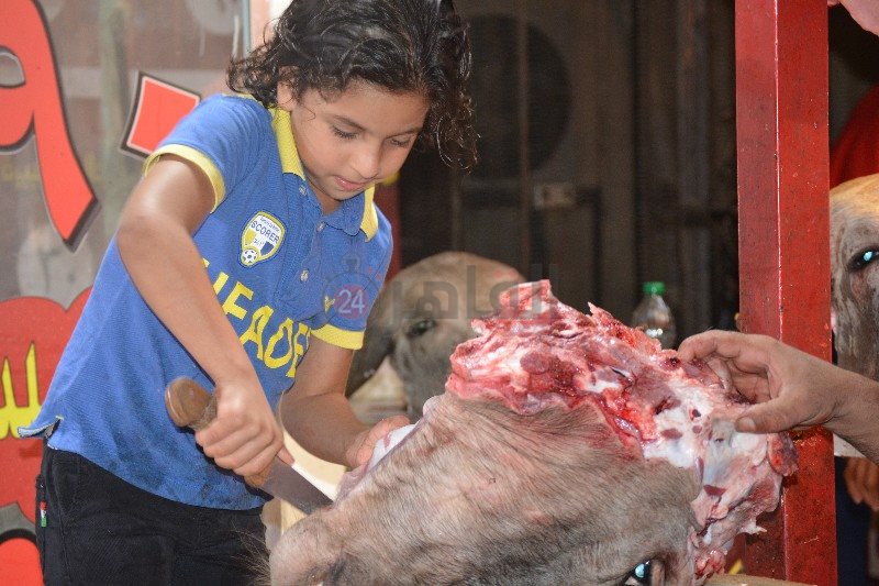 الجزار صاحب الـ 8 سنوات 