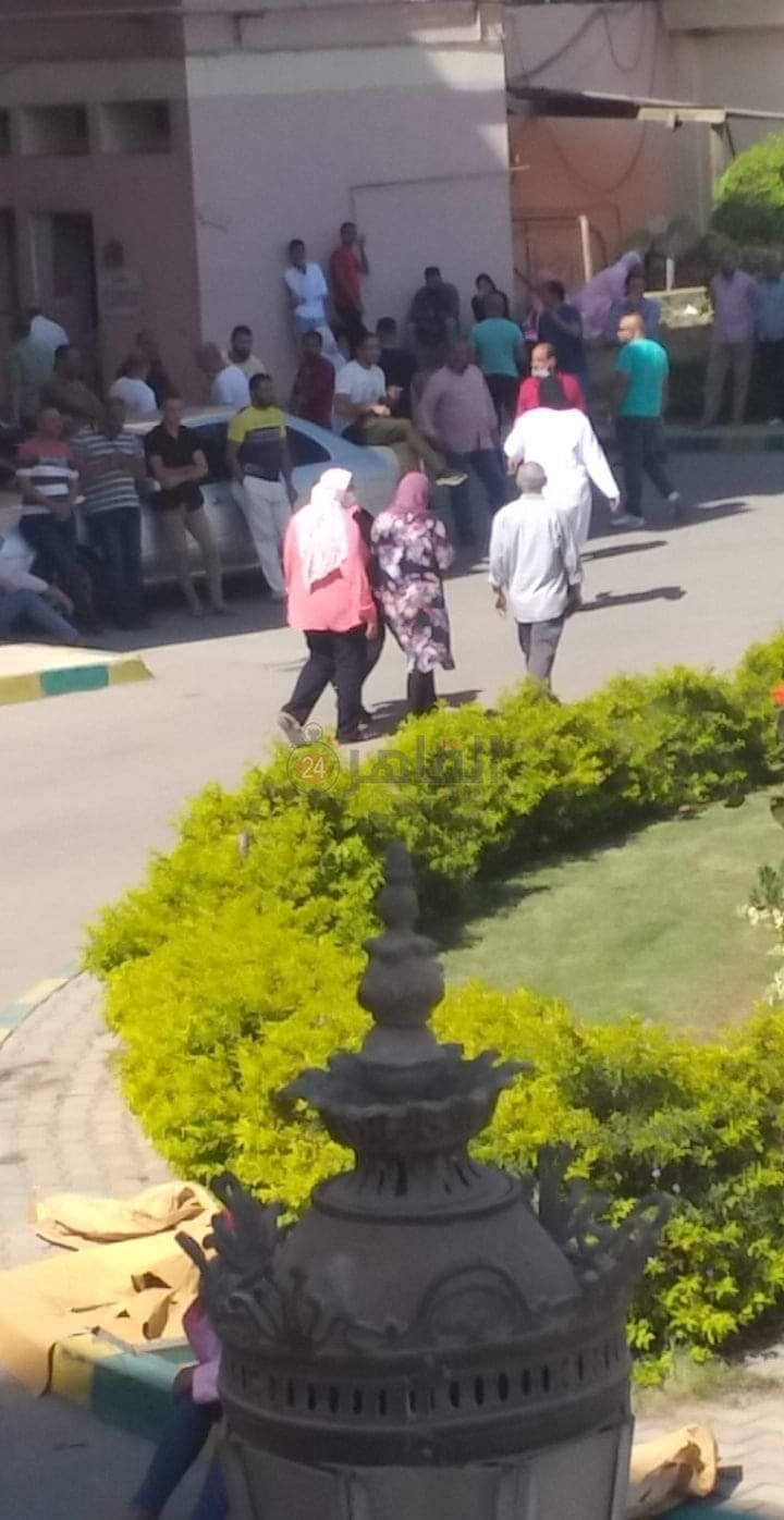 احتجاجات عمال شركة سيد للأدوية